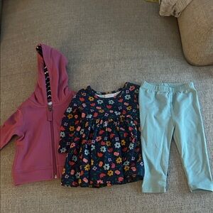 Hanna Andersson Pink Hoodie, Floral Dress, and Blue Leggings Set
